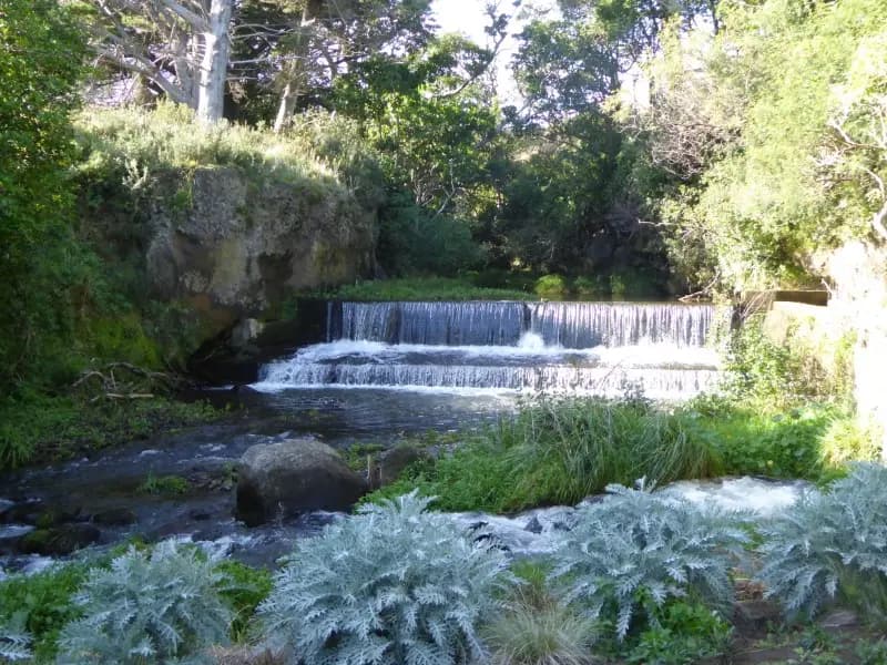 Image from around Opunake 1