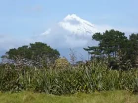 Image from Taranaki. 6