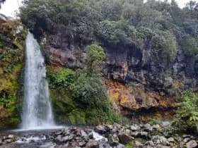 Image from Taranaki. 9