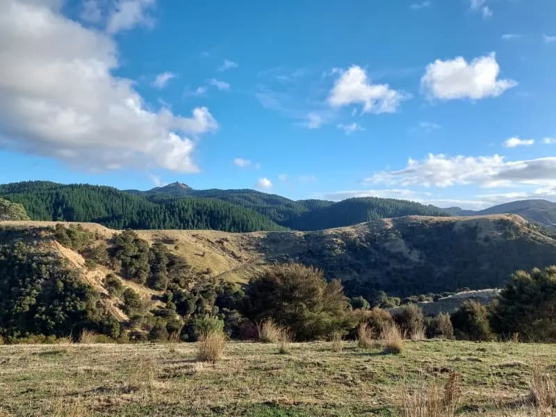Image from Tora Farm 1