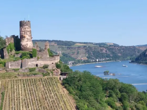 Castles of the Rhine Trip