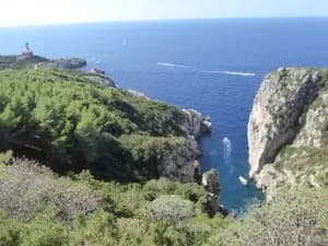 Image from Capri. 4