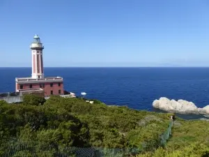 Image from Capri. 5