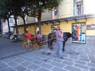 Image from Around Sorrento 2