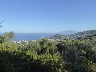 Image from Around Sorrento 4