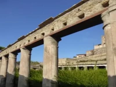 Image from Herculaneum and Pompeii 1