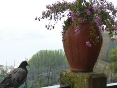 Image from Around Nerano Marina del Cantone 1