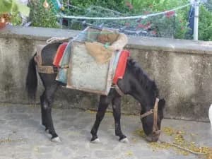 Image from Amalfi Coast. 2