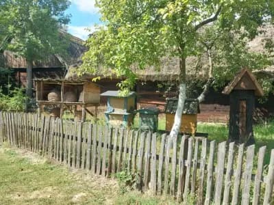 Image from Ojcowski Park Narodowy 4