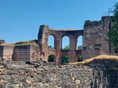 Image from Trier 1