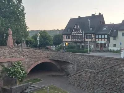 Image from Lorch 4