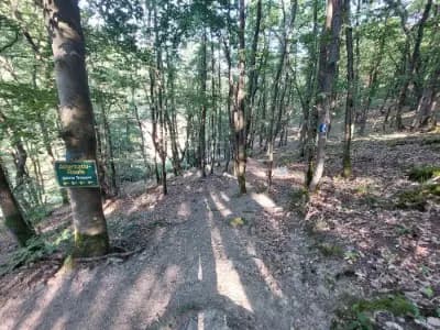 Image from Around Boppard 1