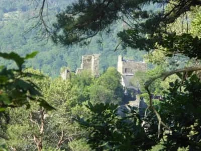 Image from Around Boppard 2