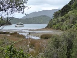 Pelorus/Nydia Track Trip