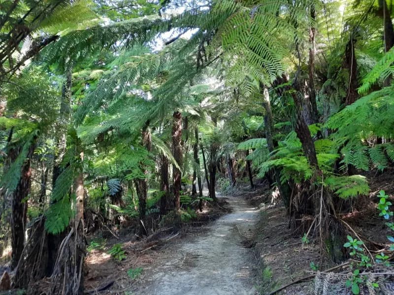 Image of Davis Bay 1