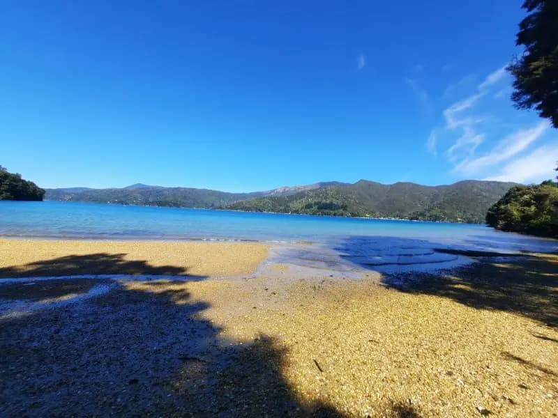 Image of Davis Bay 2