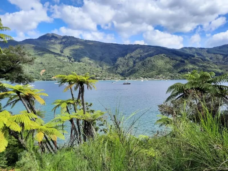Image of Ngakuta Bay 1