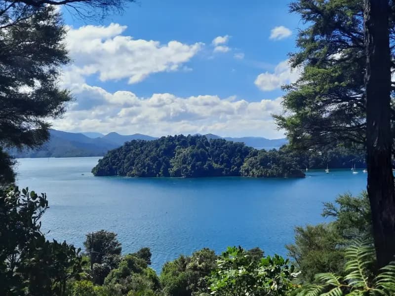 Image of Ngakuta Bay 2