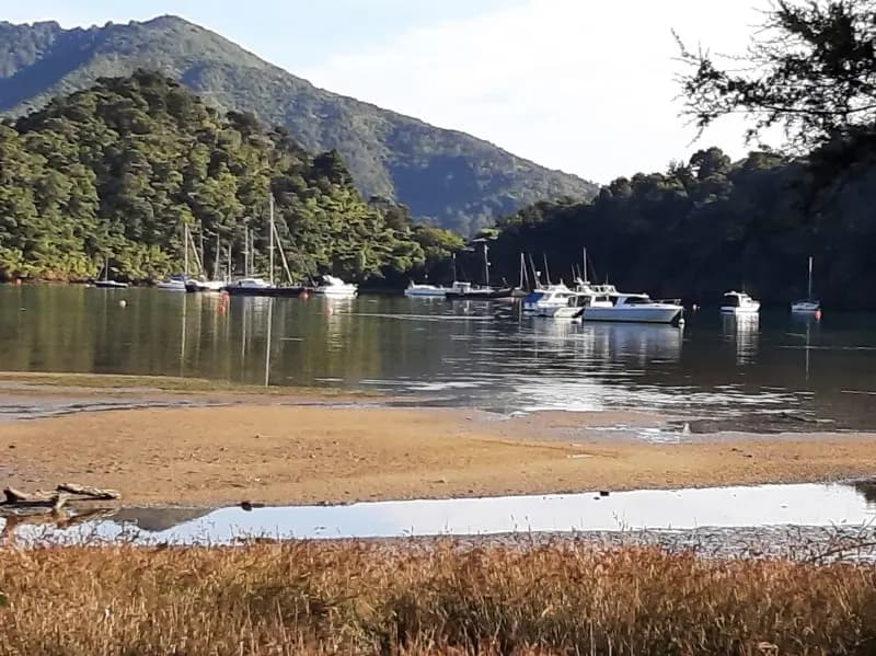Image of Ngakuta Bay 1