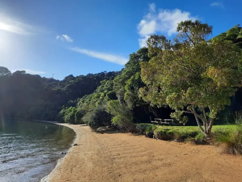 Image from anakiwa Track 1