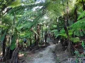 Image from Link Pathway. 4
