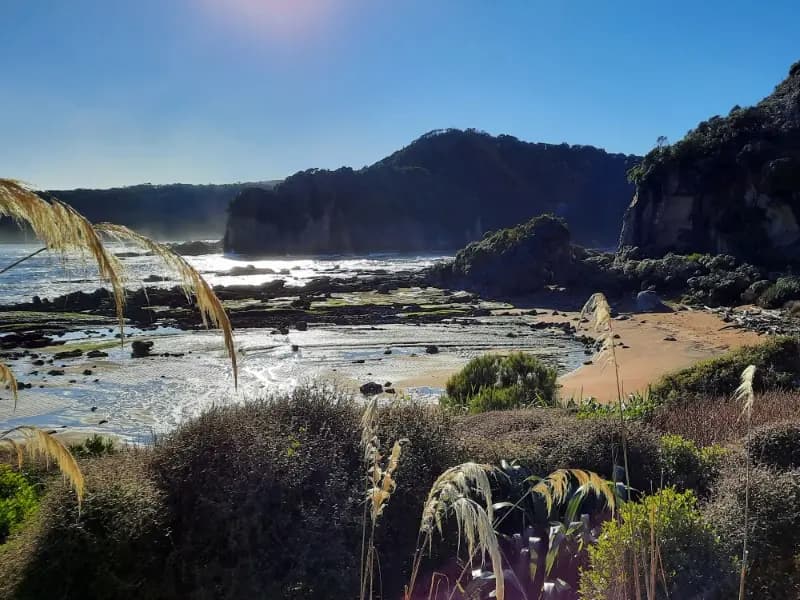 Image from Preservation Inlet 2