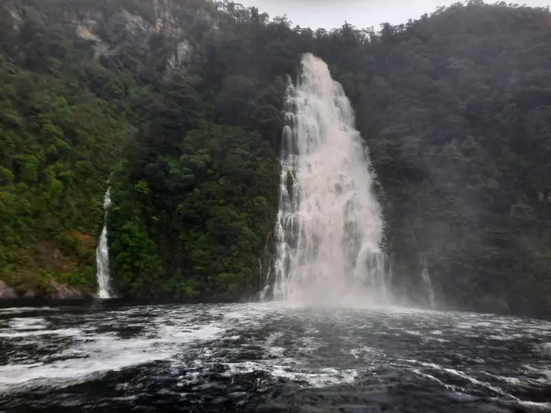 Image from Dusky Sound 2