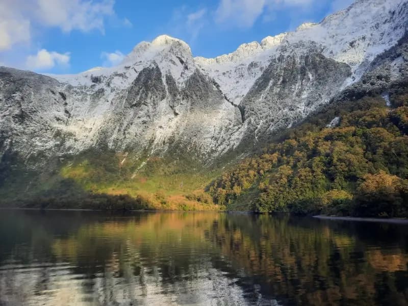 Image from Doubtful Sound 2