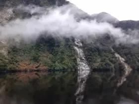 Image from Fiordlands. 8