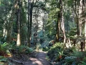 Image from Humpridge Track. 2