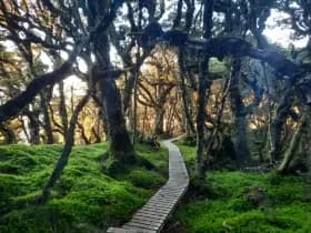 Image from Humpridge Track. 3