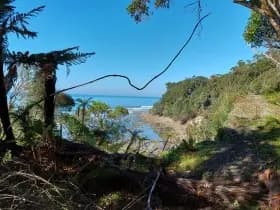 Image from Humpridge Track. 4