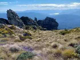 Image from Humpridge Track. 5