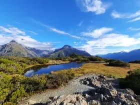Image from Humpridge Track. 6