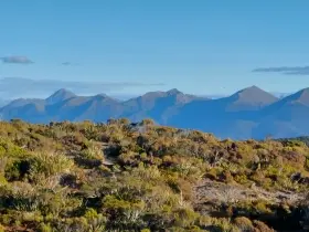 Image from Humpridge Track. 7