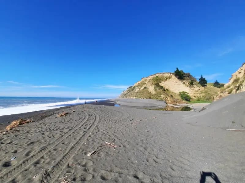 Image of Kaikoura Coast 1