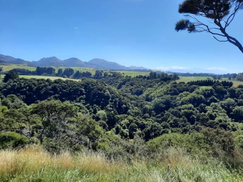 Image of Kaikoura Farm 1