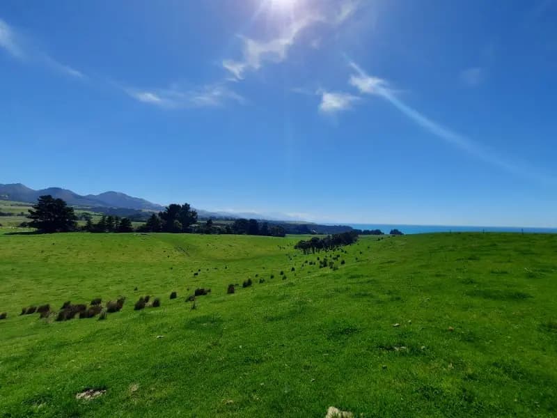 Image of Kaikoura Farm 2