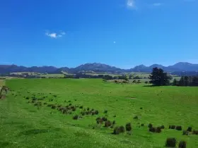 Image from Kaikoura Coast. 7