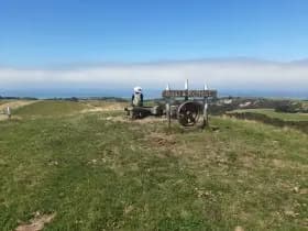 Image from Kaikoura Coast. 8