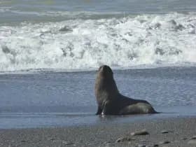 Image from Kaikoura Coast. 9