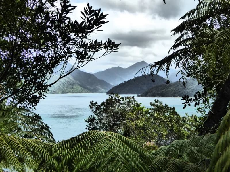 Image from Fair Bay 1