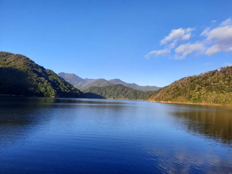 Image from Nydia Track 2