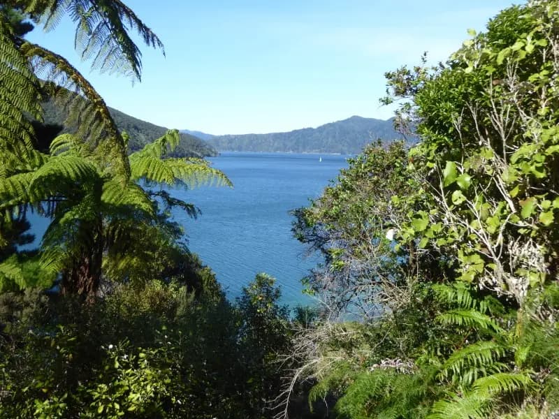 Image from Kawakawa Station 1