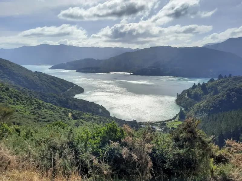 Image from Queen Charlotte Track 1