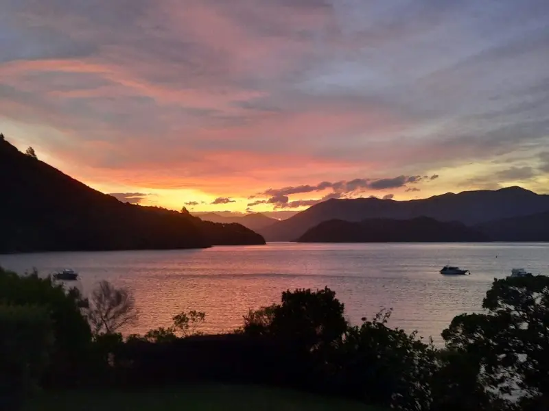 Image from Queen Charlotte Track 1