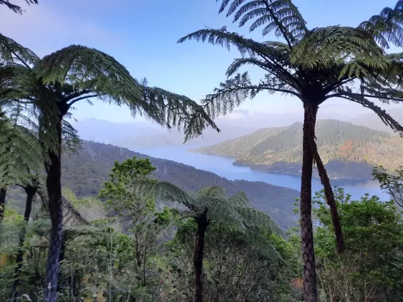 Image from Queen Charlotte Track 1