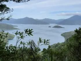 Image from Queen Charlotte Track. 4
