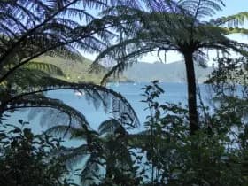 Image from Queen Charlotte Track. 5